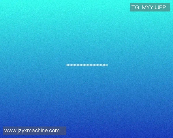 男子篮球明星标志的魅力与影响力探讨及其在体育文化中的重要性