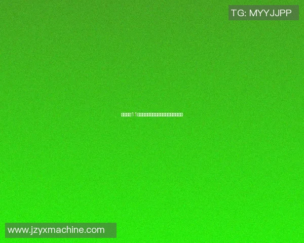 篮球明星11号的传奇球员盘点与他们的辉煌成就解析
