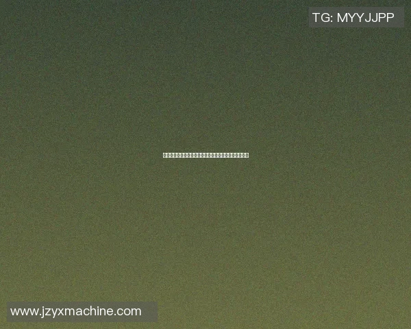 篮球明星短裤的时尚魅力与运动性能完美结合的全新探索