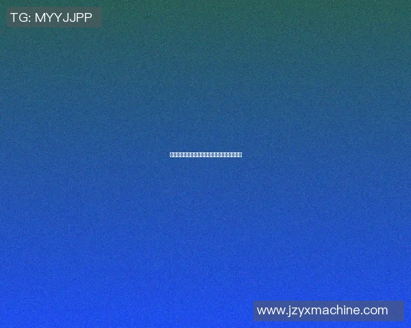 篮球明星的独特发型与个性魅力的完美结合探讨